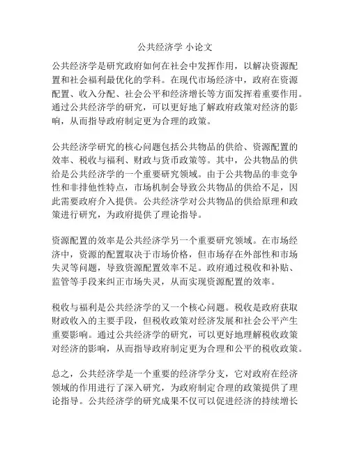 公共经济学 小论文