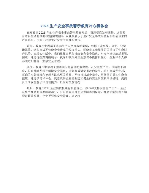 2023生产安全事故警示教育片心得体会