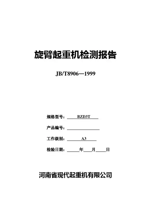 现代起重机旋臂起重机检验报告
