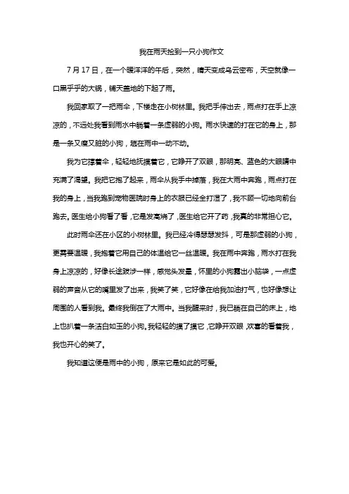 我在雨天捡到一只小狗作文