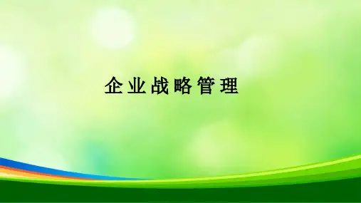 战略管理-企业职能战略讲义(PPT 52页)