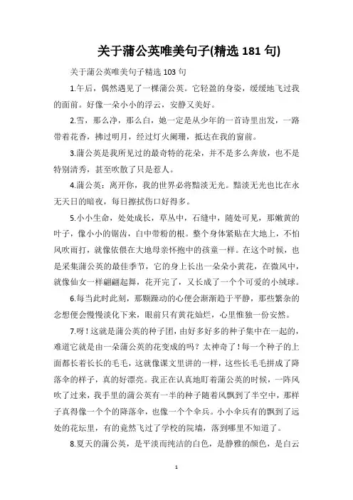关于蒲公英唯美句子(精选181句)