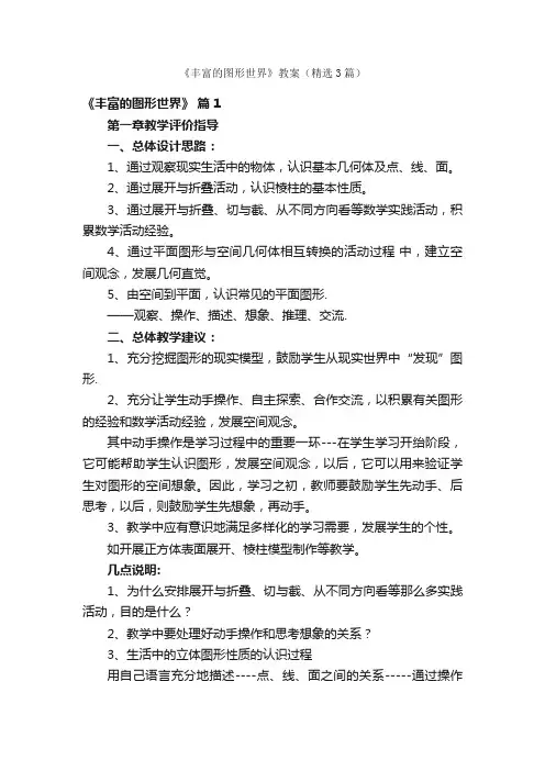 《丰富的图形世界》教案（精选3篇）