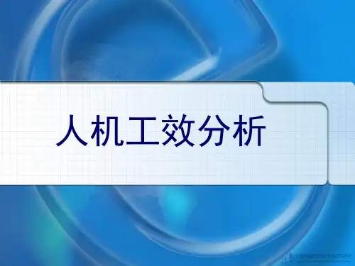 人体模型