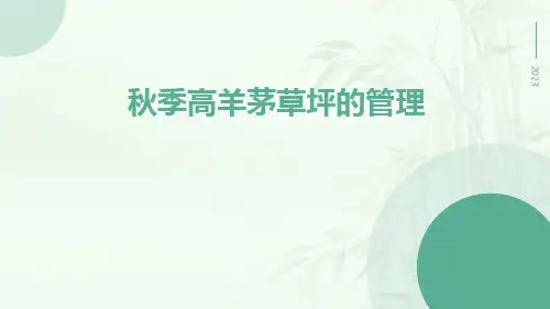秋季高羊茅草坪的管理