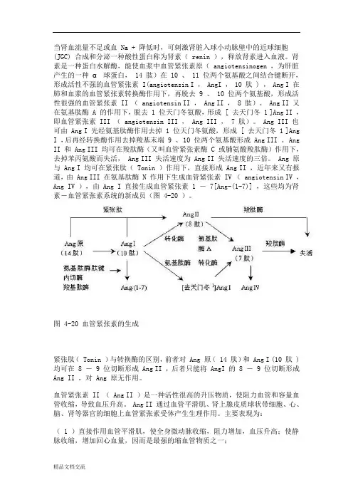 三十、肾素-血管紧张素-醛固酮系统