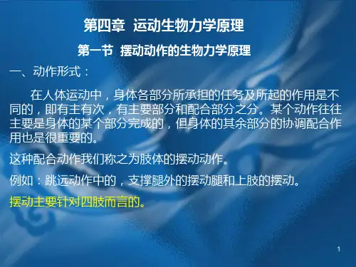 运动生物力学原理一PPT课件
