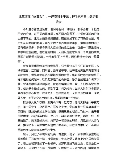 此草堪称“软黄金”，一斤卖到上千元，野生已不多，遇见要珍惜
