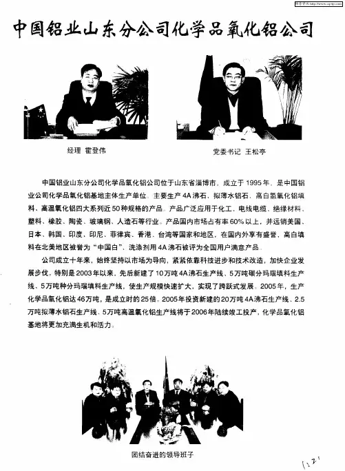 中国铝业山东分公司化学品氧化铝公司