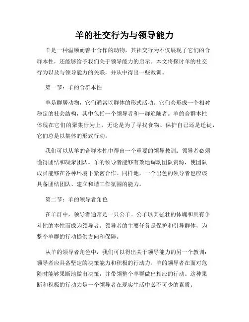 羊的社交行为与领导能力