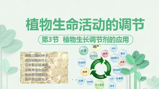 生物人教版(2019)选择性必修1 5.3植物生长调节剂的应用(共18张ppt)