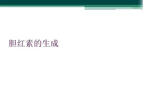 胆红素的生成