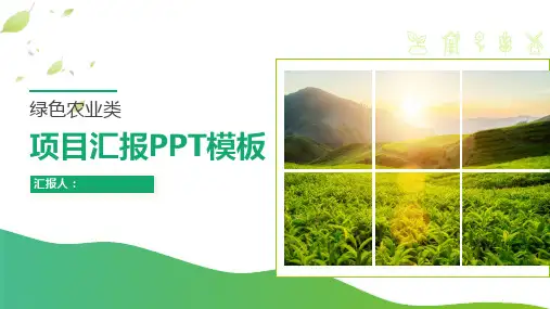 【精品】绿色农业生态农业项目汇报PPT模板