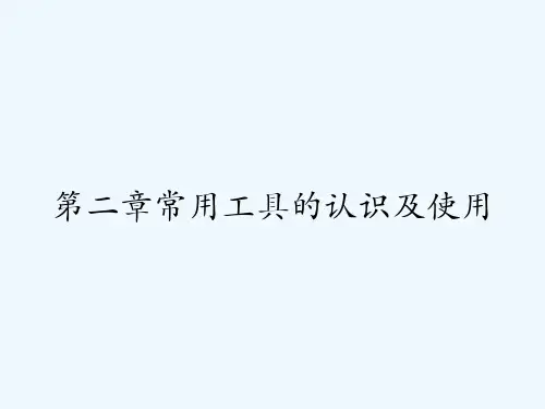 第二章常用工具的认识及使用 PPT