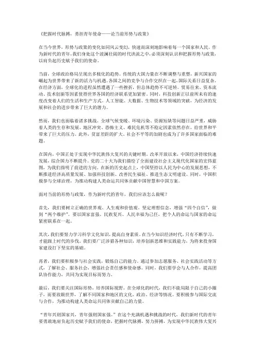 形势与政策文章