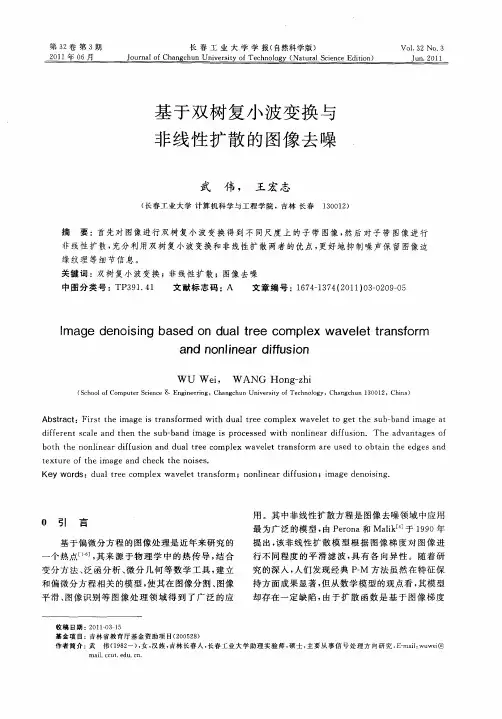 基于双树复小波变换与非线性扩散的图像去噪