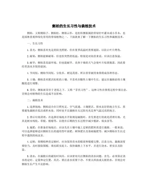 侧柏的生长习性与栽植技术