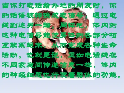 (新教材)高中生物《神经冲动的产生和传导》优质课件人教版1