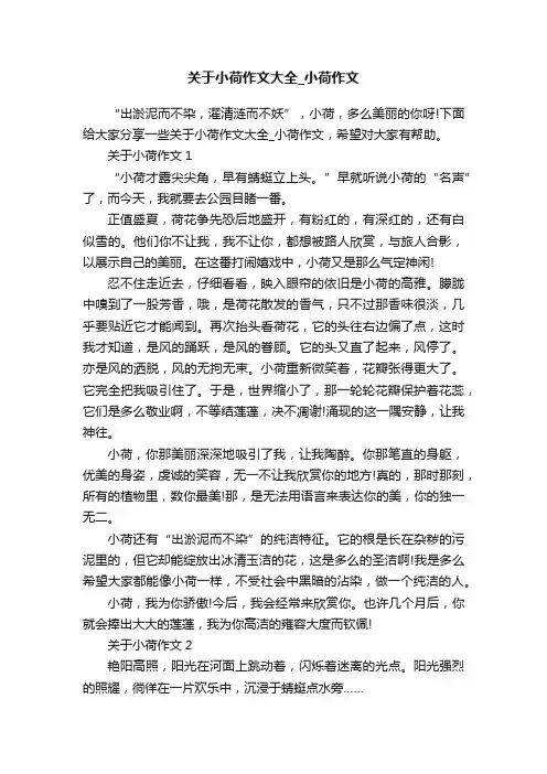 关于小荷作文大全_小荷作文