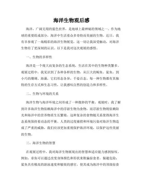 海洋生物观后感