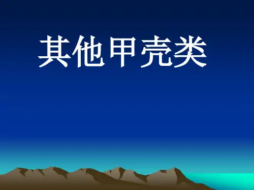 其他甲壳类