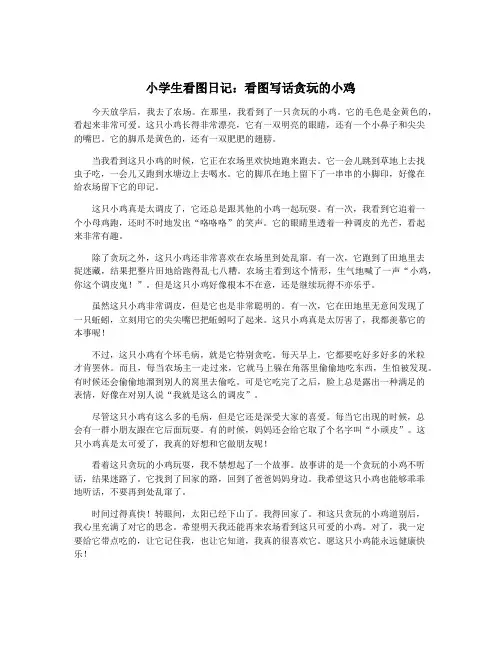 小学生看图日记：看图写话贪玩的小鸡