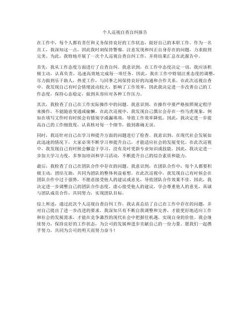 个人巡视自查自纠报告