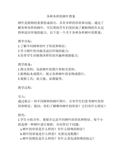 各种各样的树叶教案