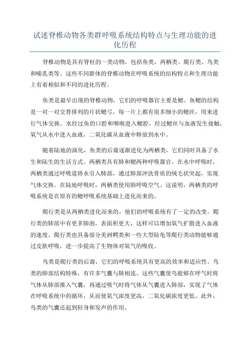 试述脊椎动物各类群呼吸系统结构特点与生理功能的进化历程