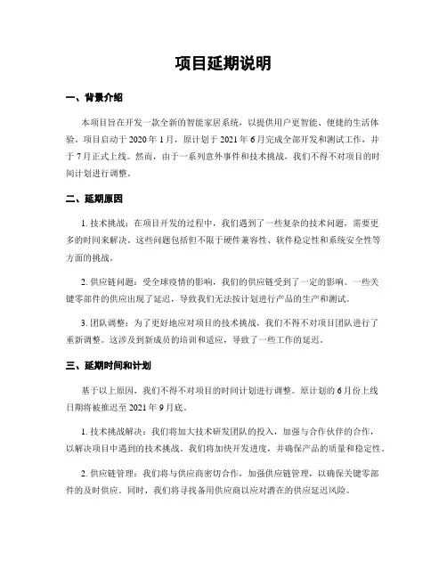 项目延期说明