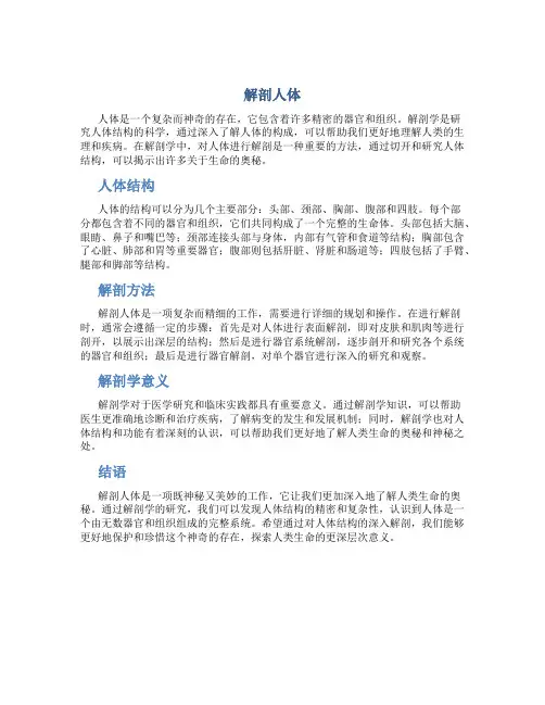 解剖人体资料
