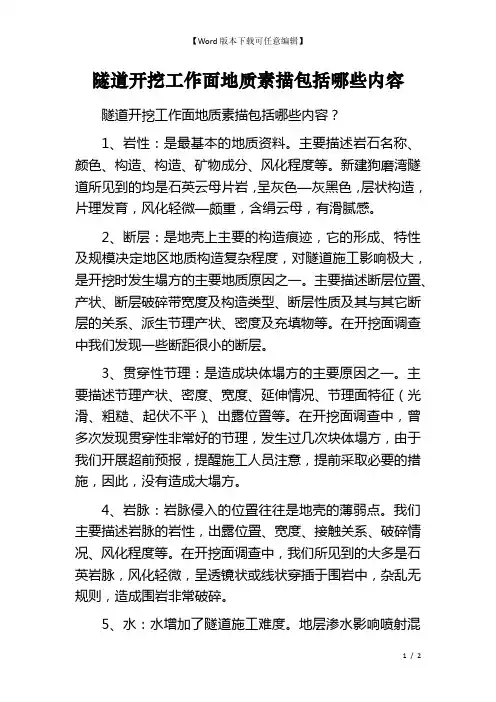 隧道开挖工作面地质素描包括哪些内容
