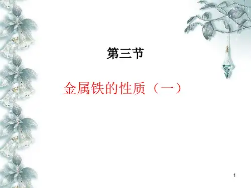 单质铁的化学性质PPT课件