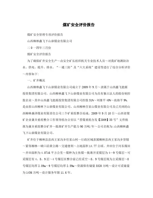 煤矿安全评价报告
