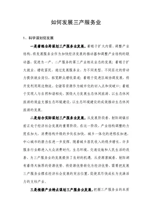 如何发展三产服务业【精选资料】
