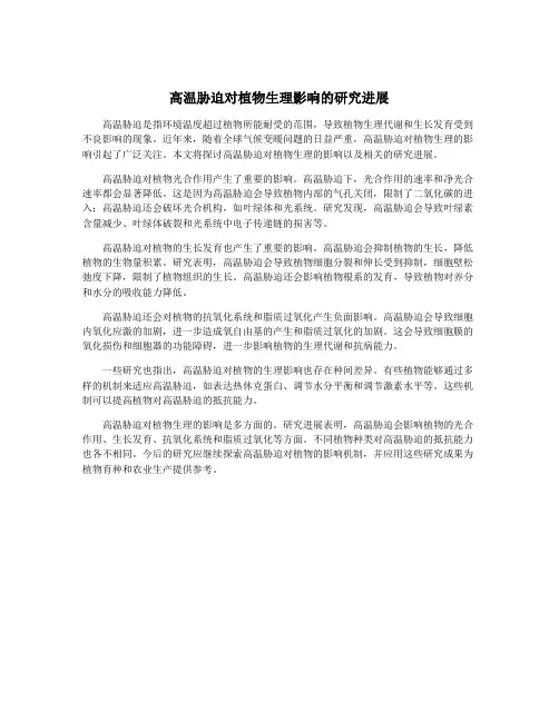 高温胁迫对植物生理影响的研究进展