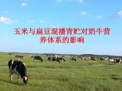 动物营养开题PPT