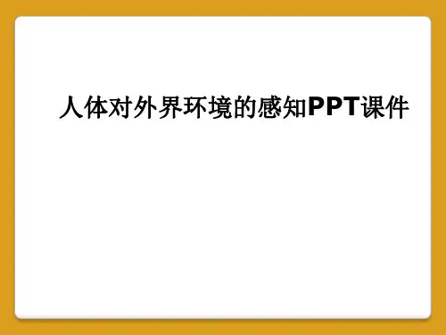 人体对外界环境的感知PPT课件