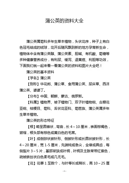 蒲公英的资料大全