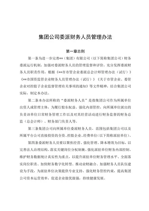 集团公司委派财务人员管理办法