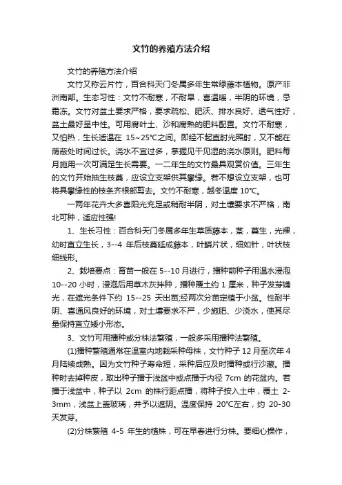 文竹的养殖方法介绍