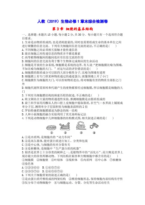 人教(2019)生物必修1综合检测卷：第3章 细胞的基本结构 章末综合检测(含答案详解)