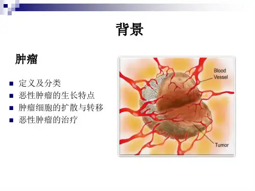 铂类药物的作用机理铂类代表药物顺铂卡铂奥沙利铂标准版PPT