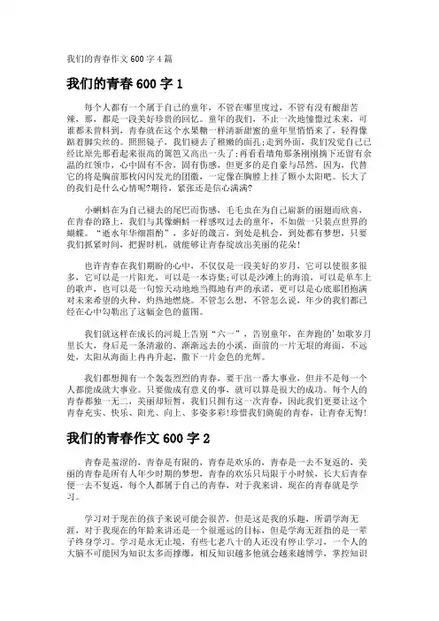 我们的青春作文600字