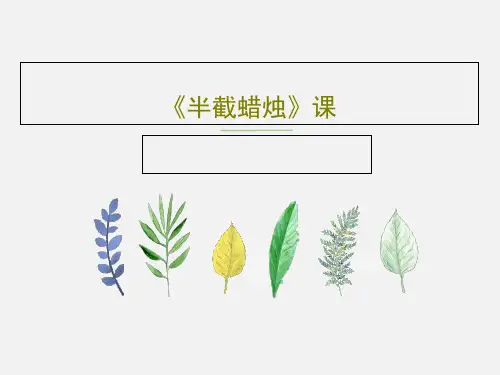 《半截蜡烛》课19页PPT