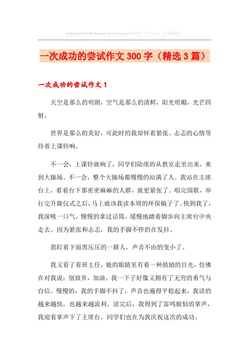 一次成功的尝试作文300字(精选3篇)