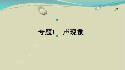 初中物理人教版声现象名师课件1