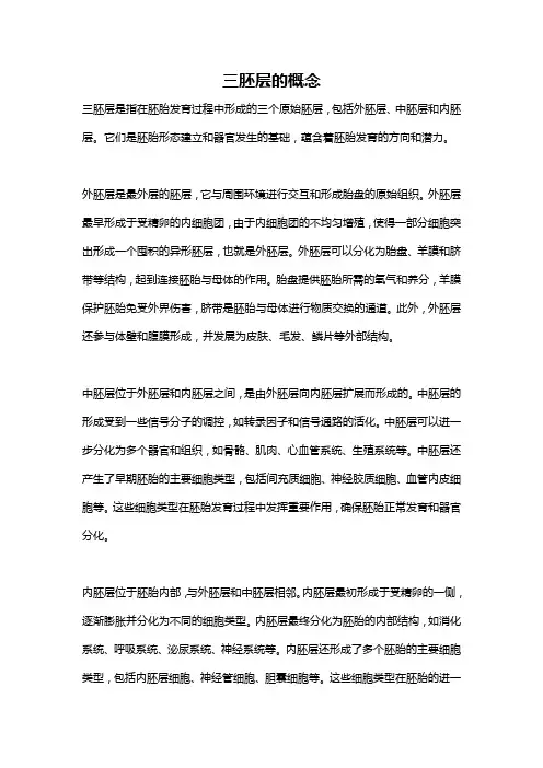 三胚层的概念
