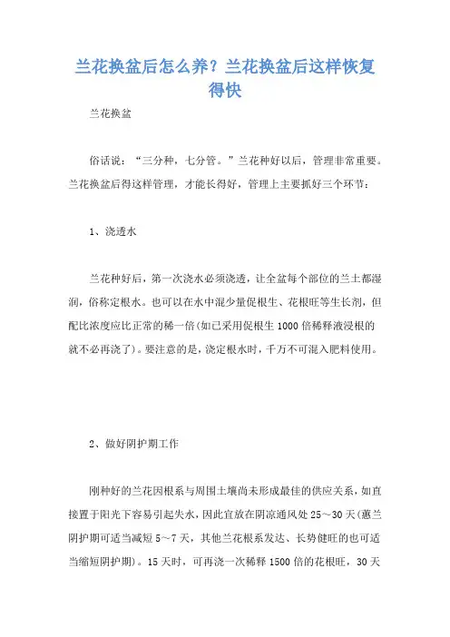 兰花换盆后怎么养？兰花换盆后这样恢复得快