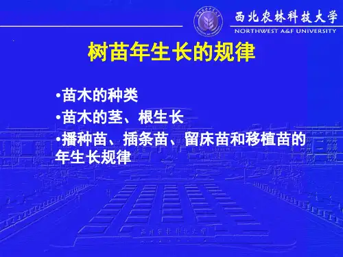 树苗年生长的规律